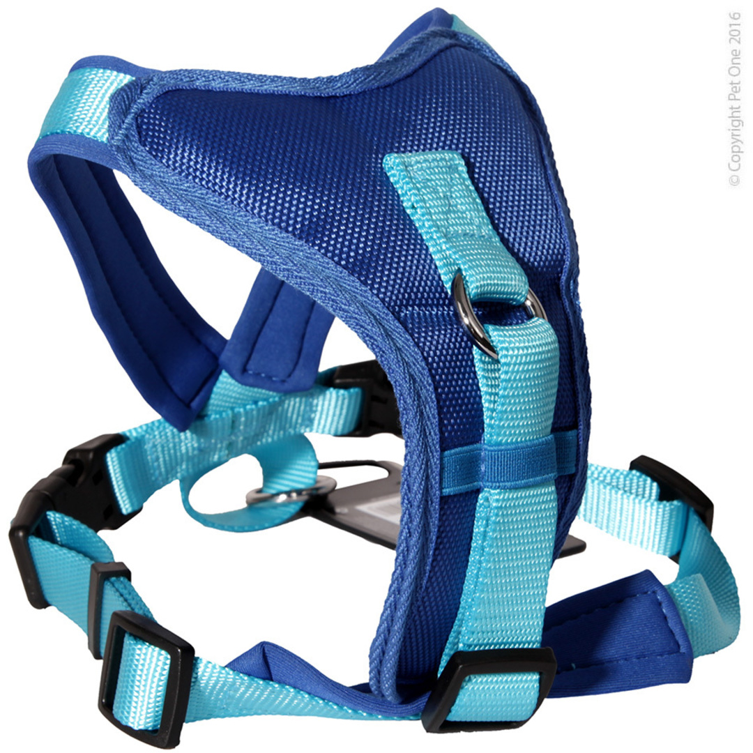 Pet One Harness - Comfy 76 - 92cm Padded 25mm Blue image 0